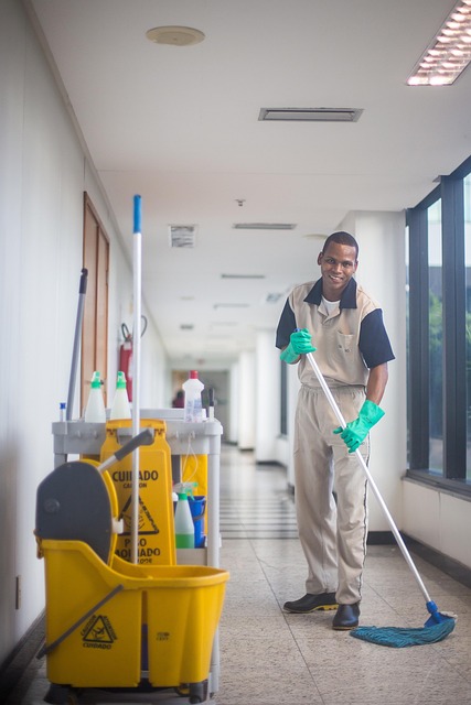 Eco-cleaning specialist sanitizing floors.
Image by <a href="https://pixabay.com/users/dattolirenata-4073584/?utm_source=link-attribution&utm_medium=referral&utm_campaign=image&utm_content=3122363">dattolirenata</a> from <a href="https://pixabay.com//?utm_source=link-attribution&utm_medium=referral&utm_campaign=image&utm_content=3122363">Pixabay</a>